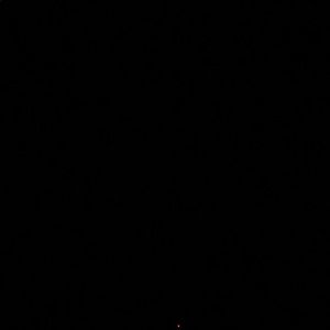 Meet your Posher, Will